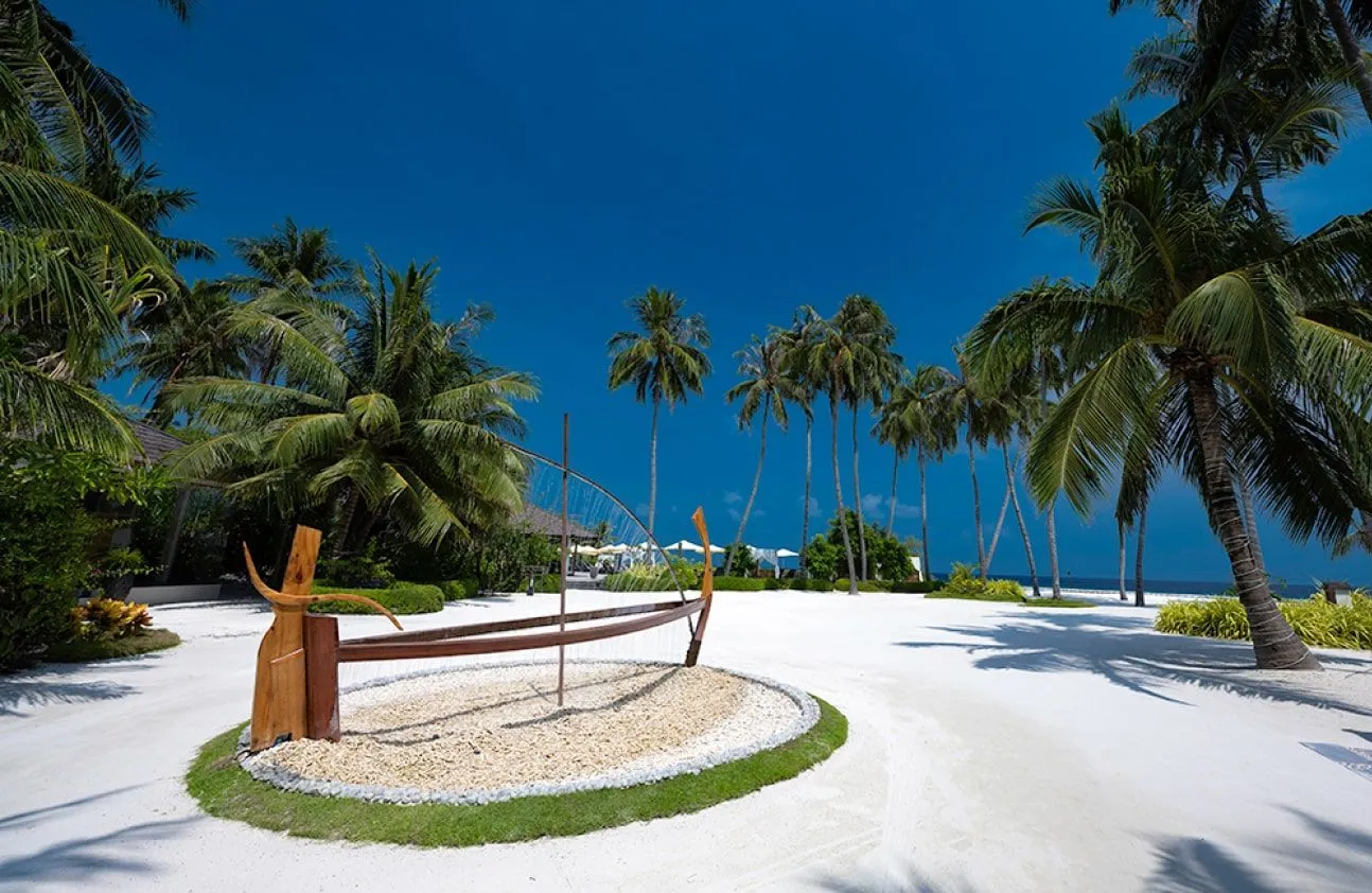A wooden swing on the sand beneath the palms