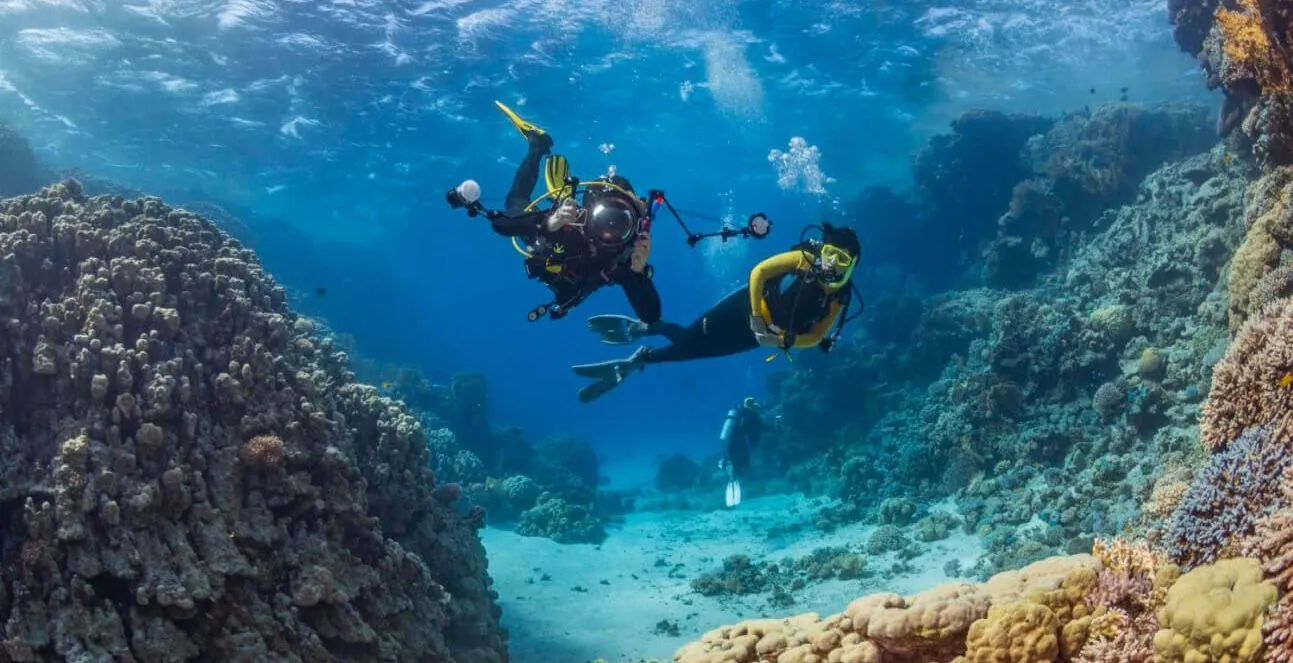 2 divers above the coral, a shoal of fish in the blue