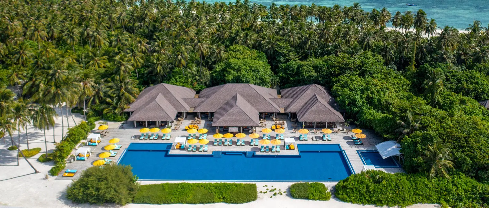 The Liquid from the air: the 50-metre pool and yellow umbrellas among the palms