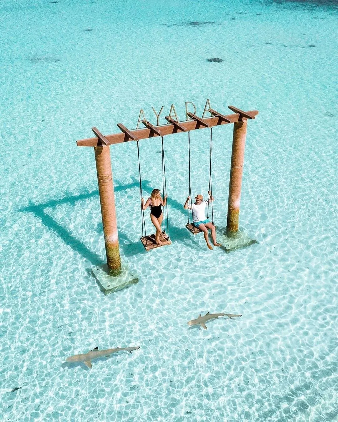 2 people on the swing set in the shallow lagoon