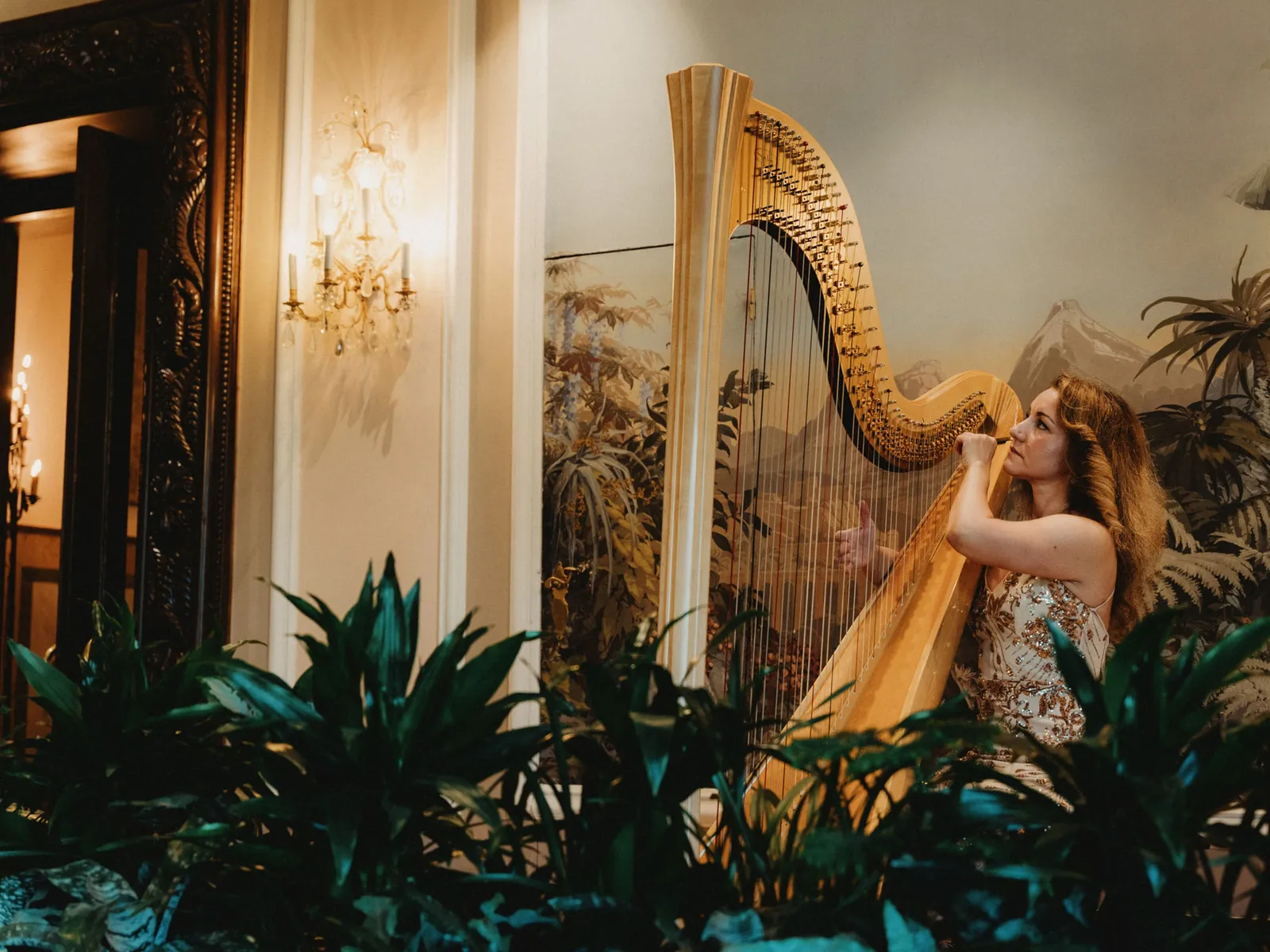 A harpist plays at Le Restaurant, among the plants and a painted wall, under 2 crystal wall lamps.