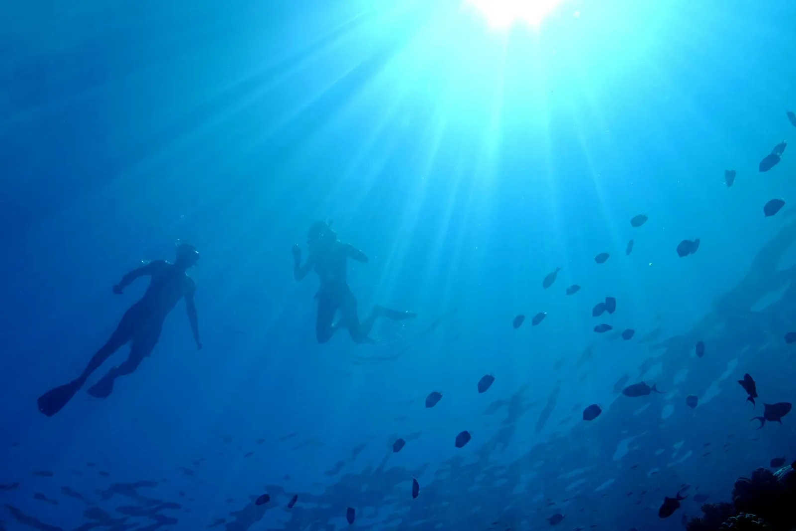 Snorkelling in resort waters in the official photograph
