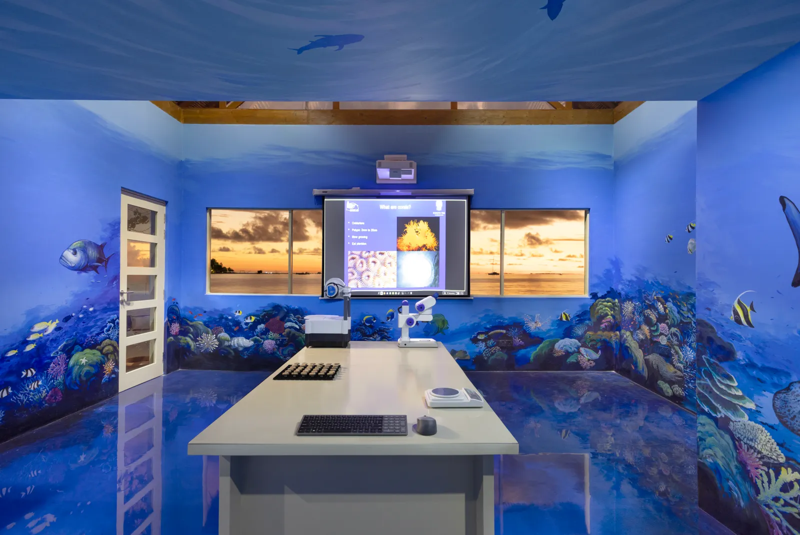 The Marine Lab: the table with microscopes, walls painted with the reef and windows on the sunset.