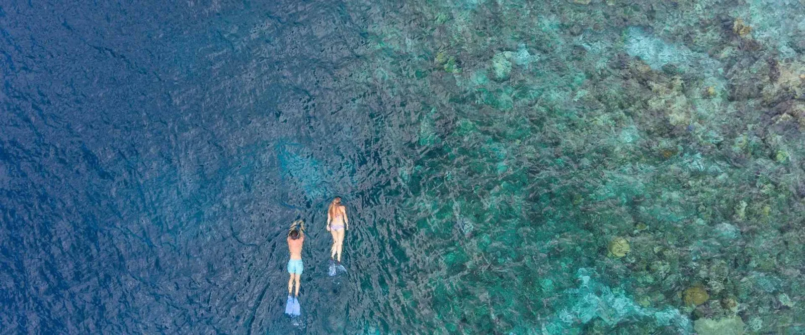 2 people snorkelling over the house reef, seen from above