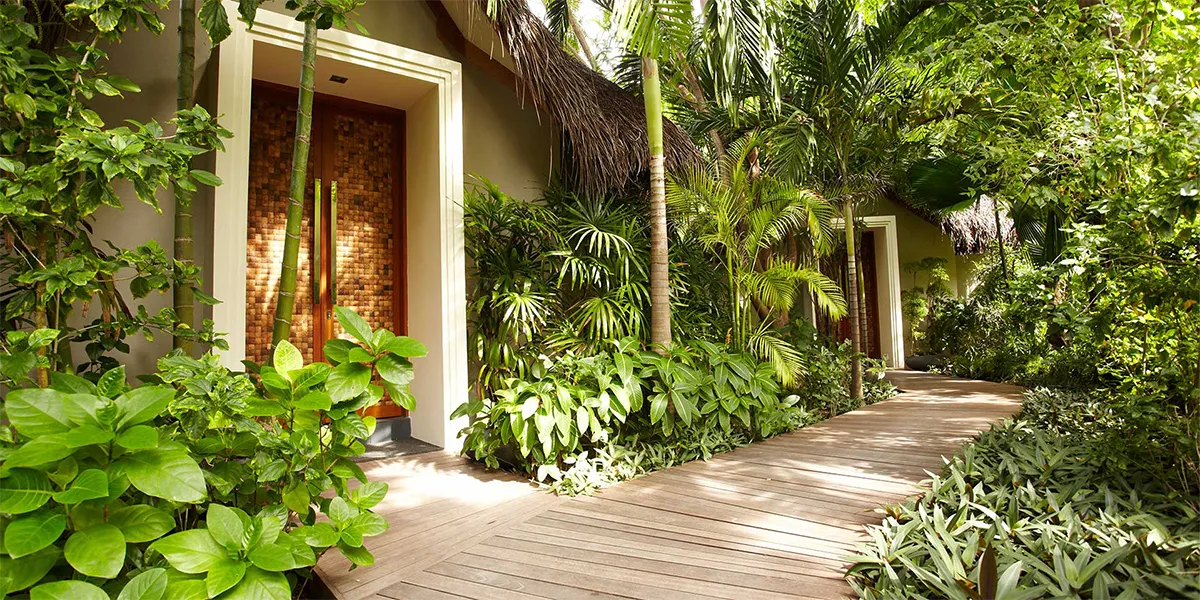 The wooden path through the greenery to Serenity Spa