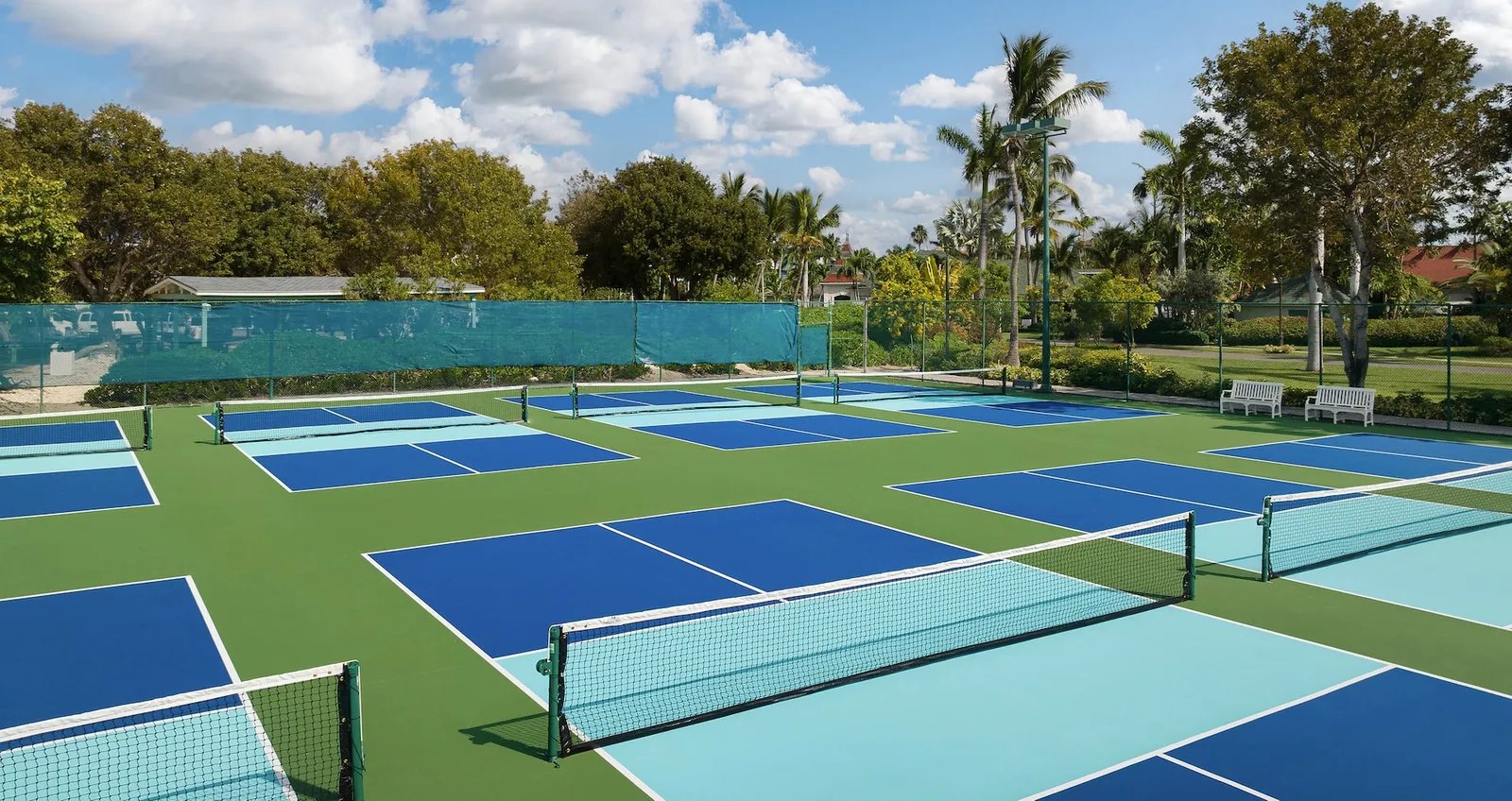 The pickleball courts, blue and green, with their nets up and trees around them.
