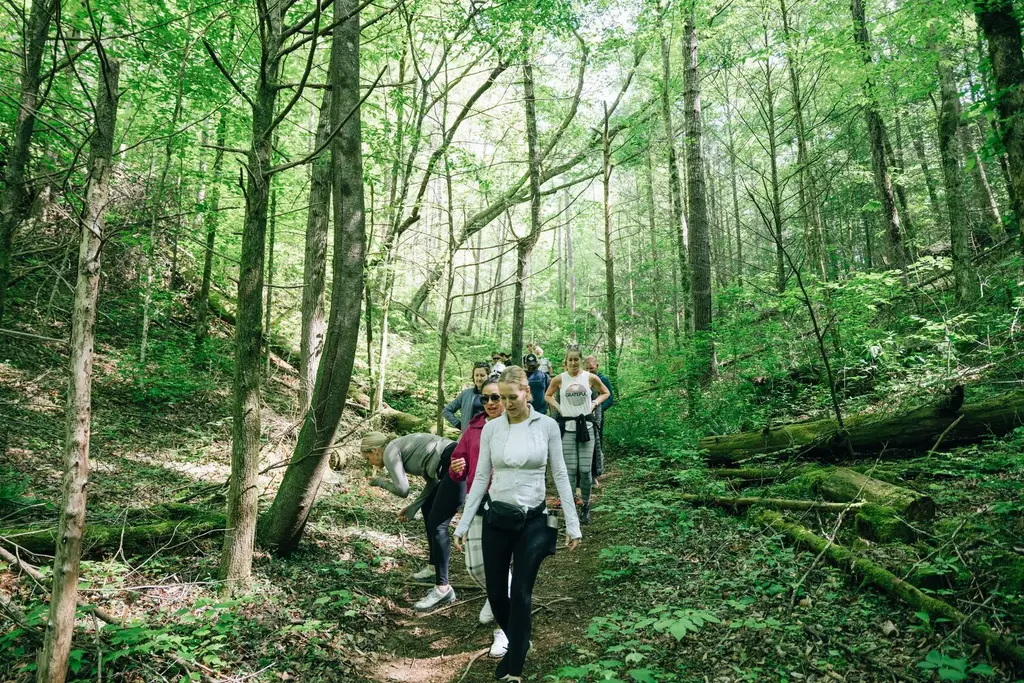 A group of walkers in single file on a narrow trail through dense, bright green spring woodland.