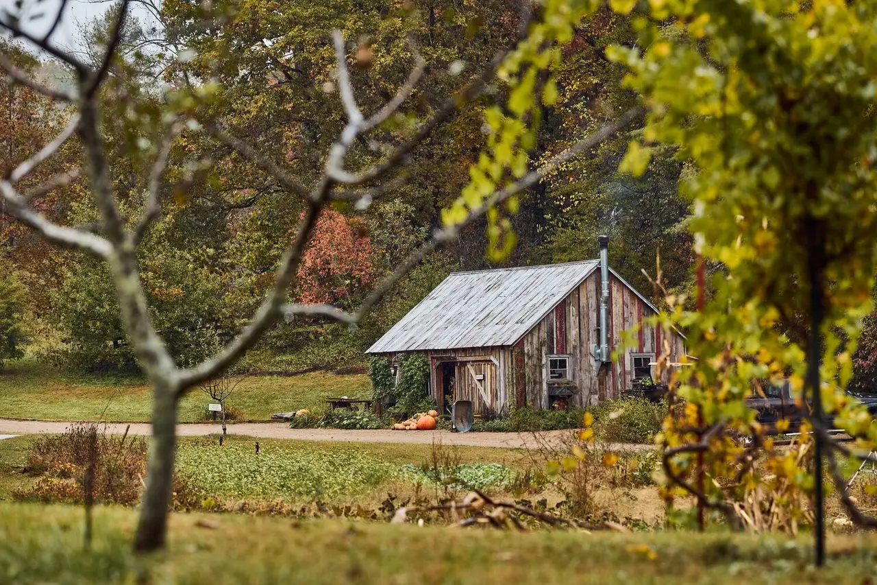 The garden’s wooden shed in autumn, with its tin roof, pumpkins by the door and the rows already bare.