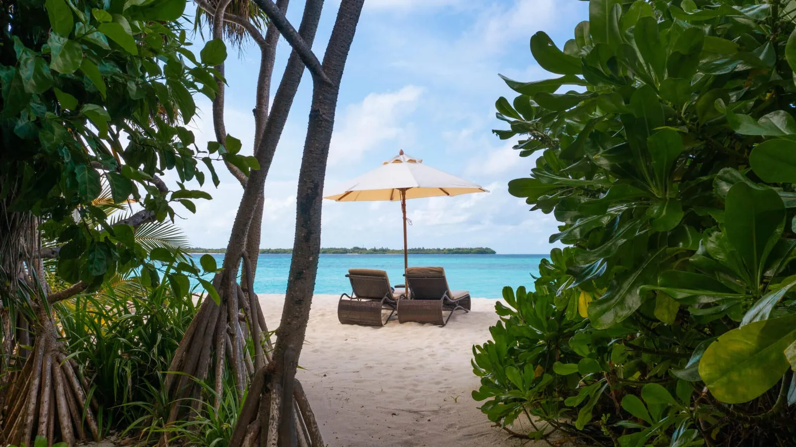 Beach loungers seen between the trees.
