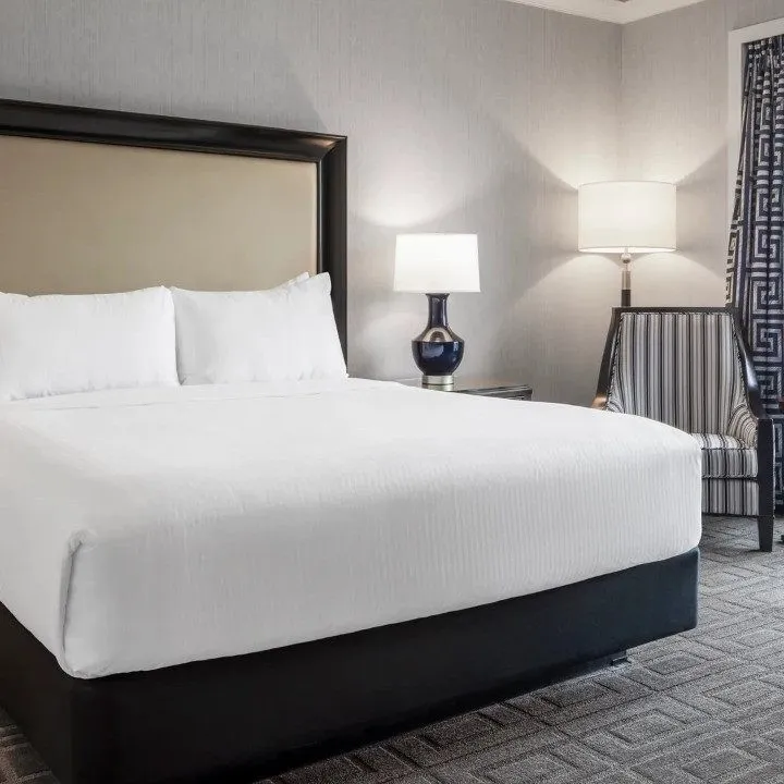 Palace Premium Room | 1 King | Non-Smoking
