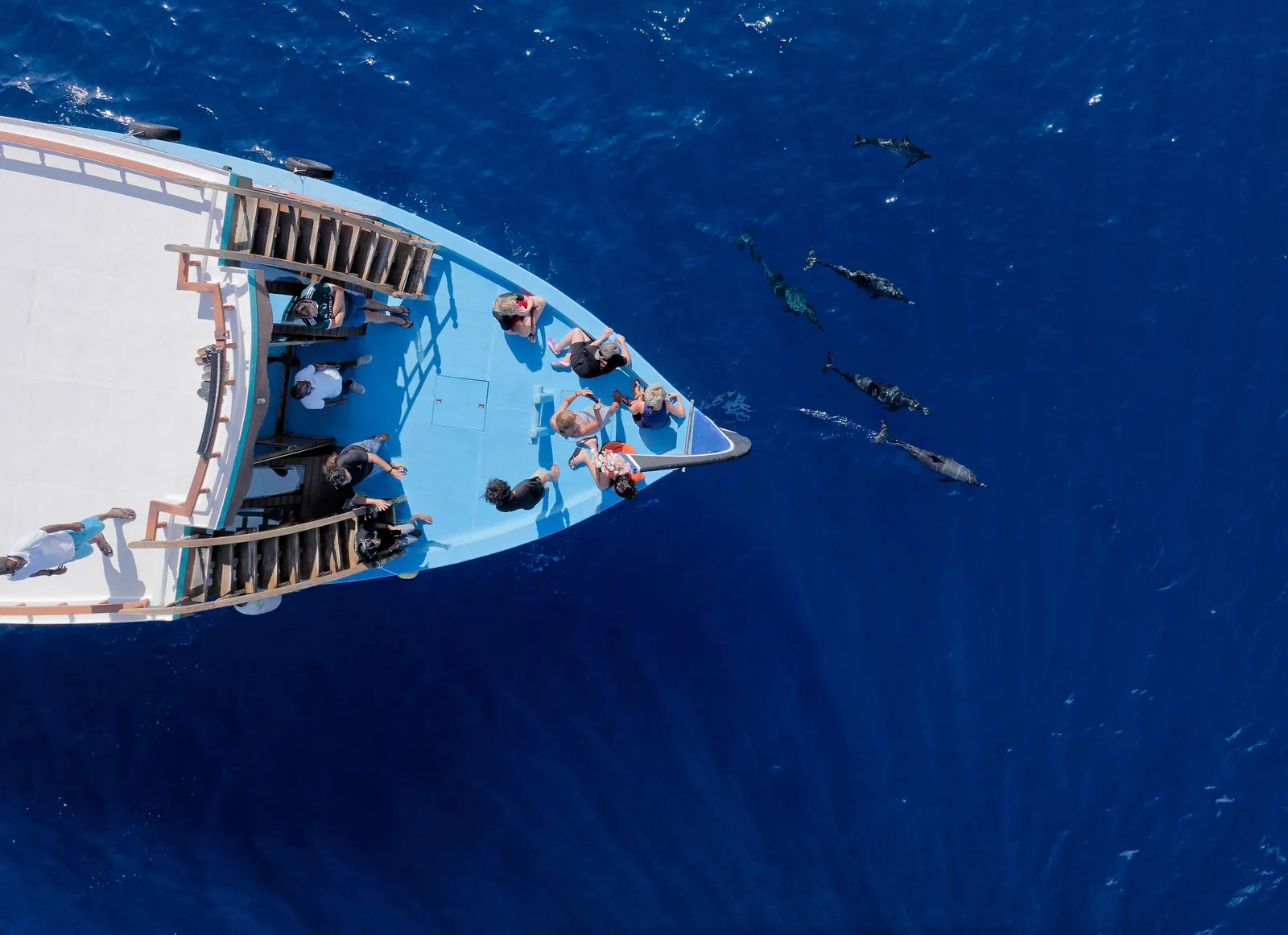 A boat’s bow from above, dolphins swimming ahead of it
