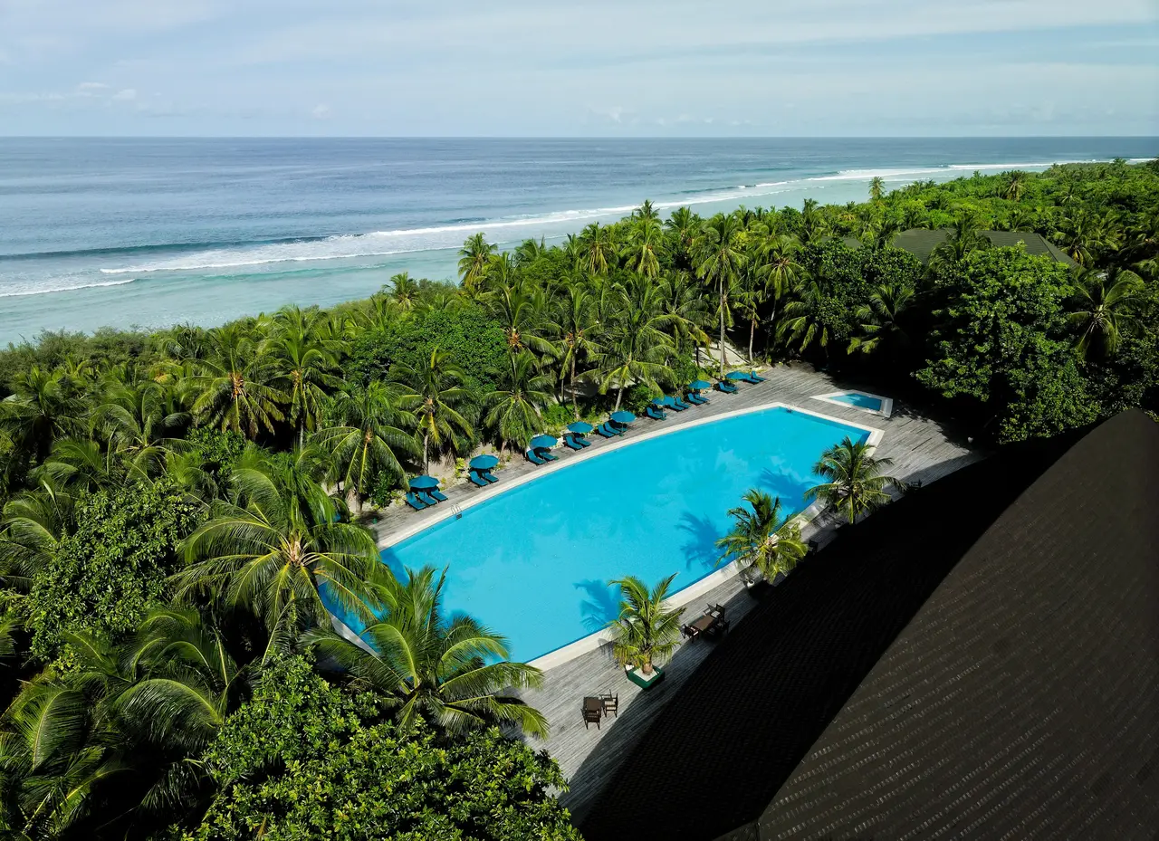 The pool from the air among the greenery, the ocean behind