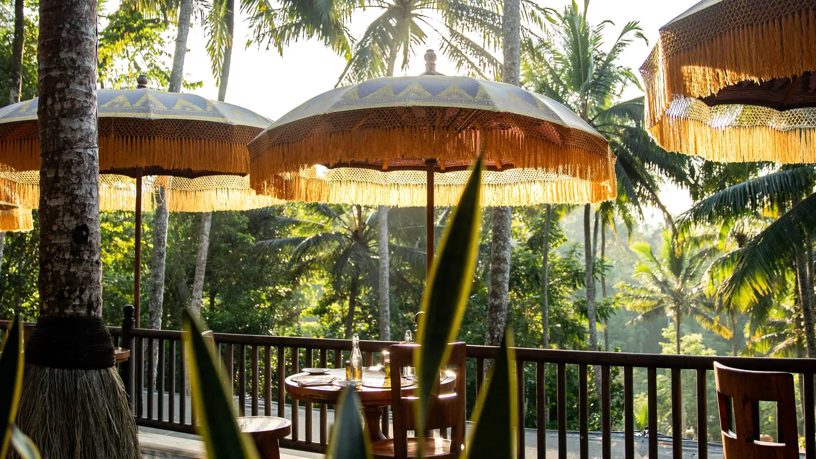 The terrace at Mads Lange: fringed parasols, wooden tables along the railing and the valley’s palms in the morning sun.