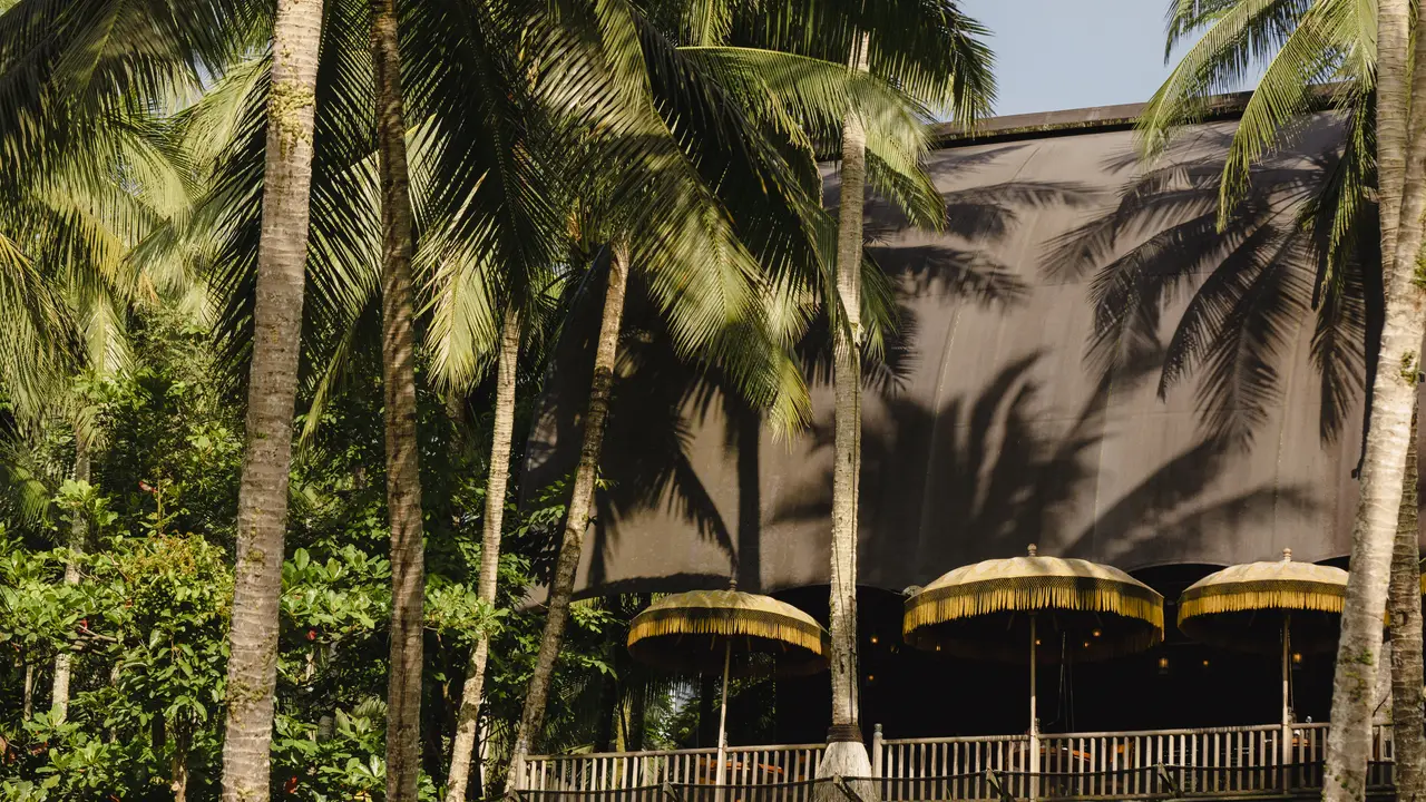 The canvas side of one of the camp’s pavilions, yellow fringed parasols under the palms.