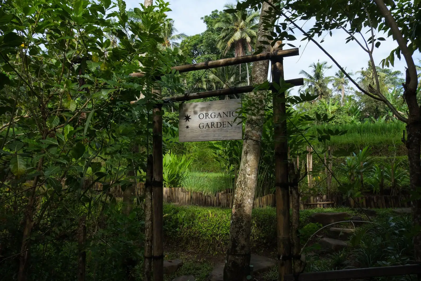The entrance to the camp’s organic garden: a bamboo gateway with its «Organic Garden» sign and the beds among the trees.