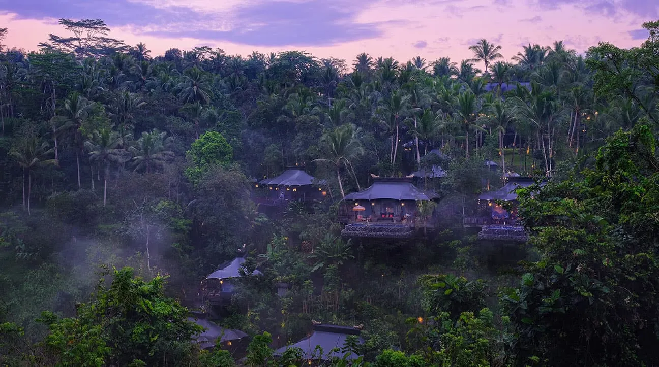 The camp at dusk from across the valley: the tents lit among the palms and mist rising from the valley floor.