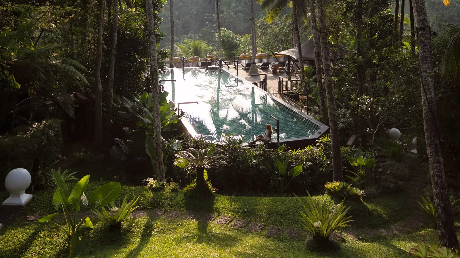 The Cistern, the camp’s 20-metre shared pool, among palms and ferns in the morning light, with the lawn and a lantern in front.