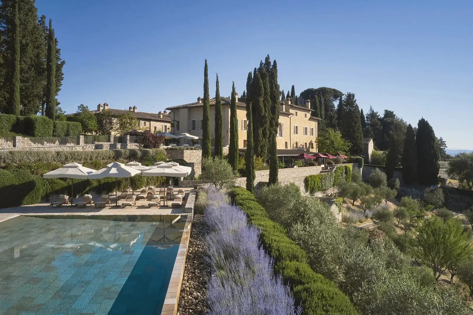 The borgo’s infinity pool, lavender along its edge, the loungers and the borgo’s buildings behind the cypresses.
