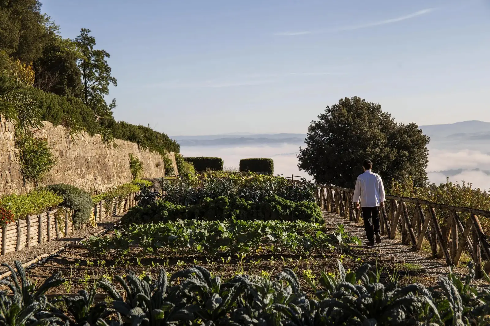 The estate’s organic kitchen garden between dry-stone walls, a chef walking along the fence, mist in the valley.