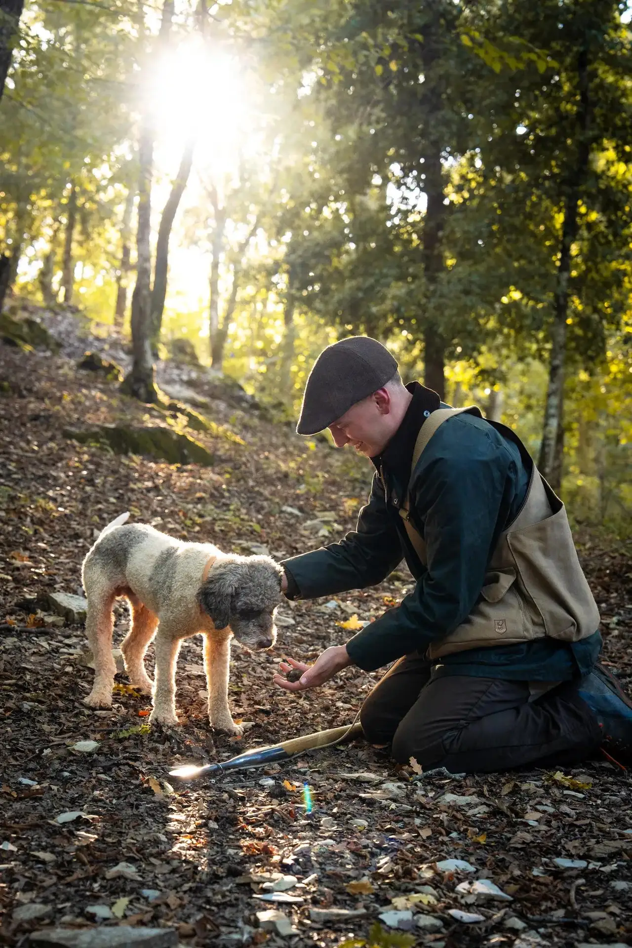 A truffle hunter kneeling in the woods with his dog, digging among the leaves in the morning light.