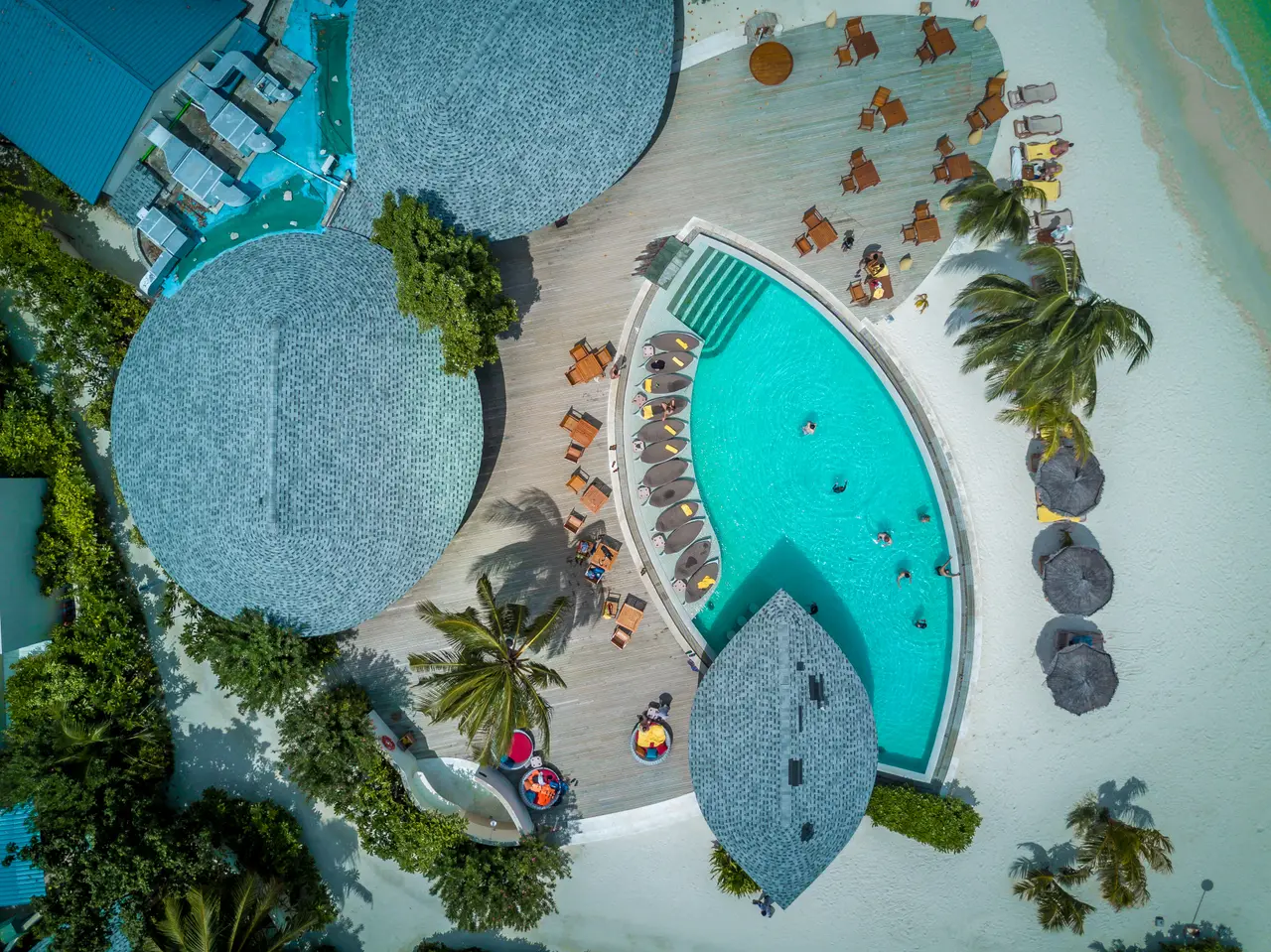 The pool, its bar and the thatched roofs seen from above, among the palms.