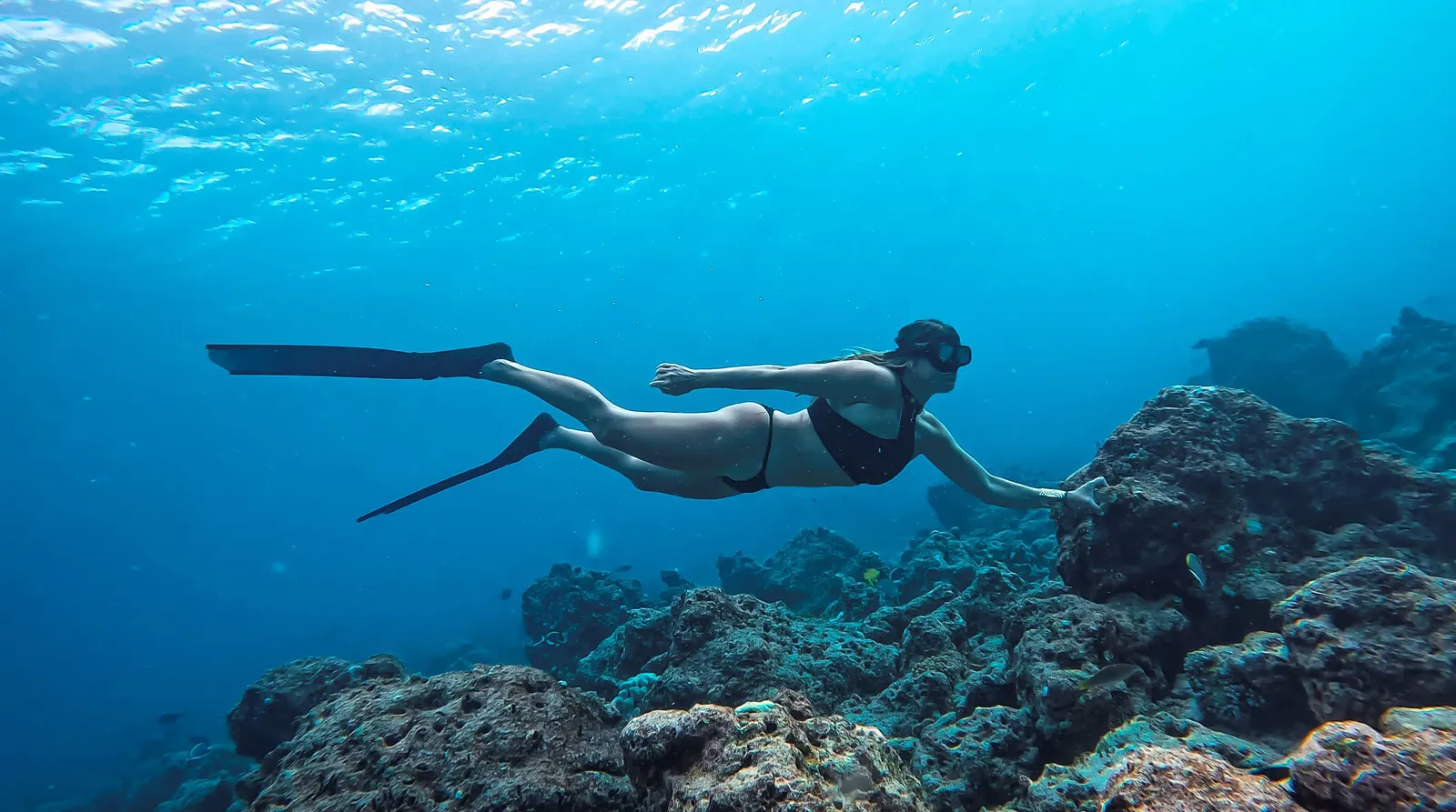 A guest wearing a mask and fins swimming above the reef
