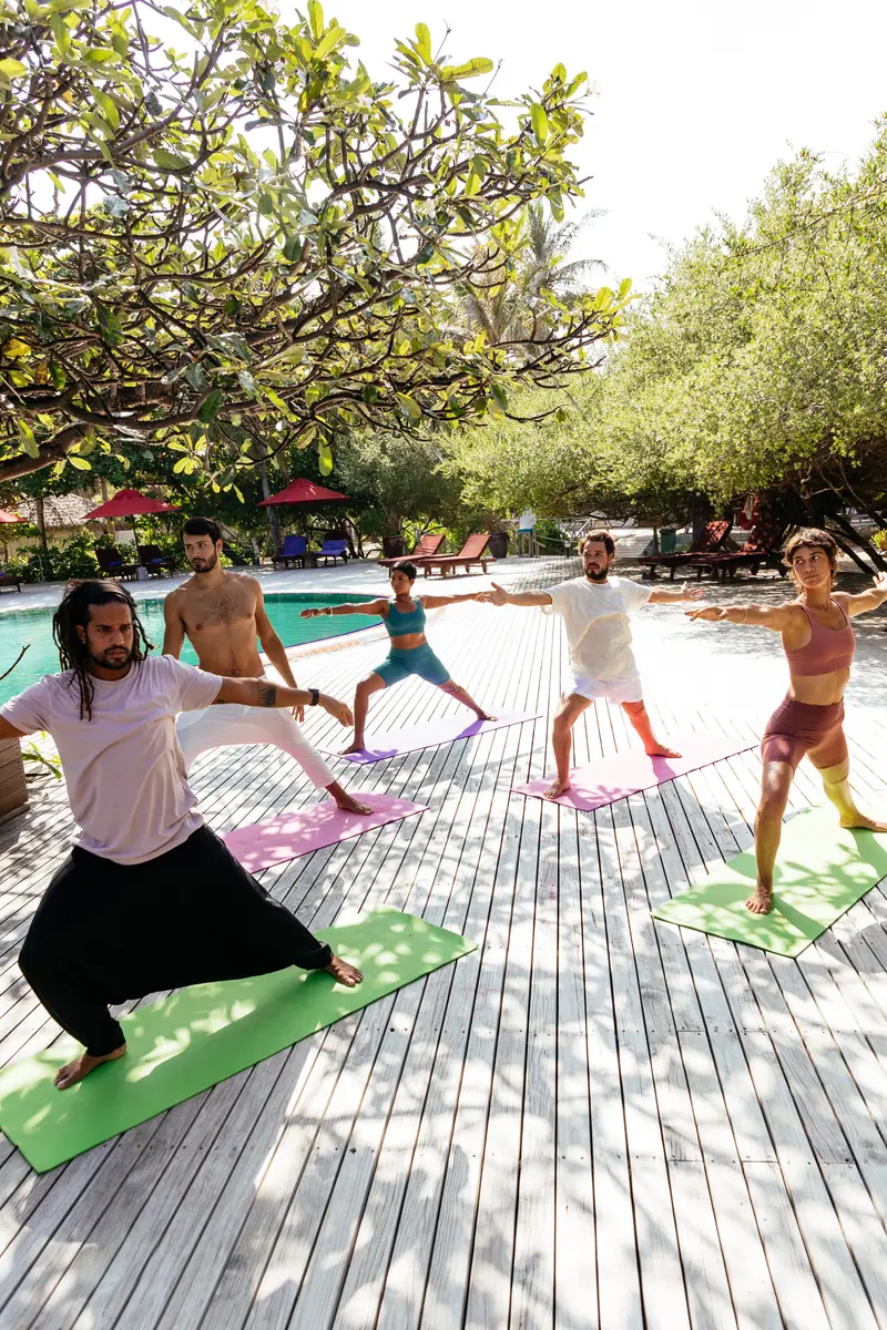 A group practising yoga on the terrace among the trees