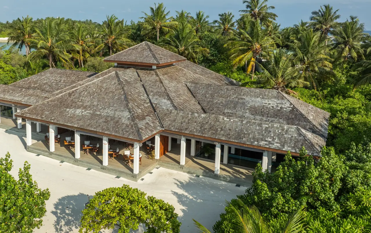 Manzaru from the air, its broad shingled roof among the palms