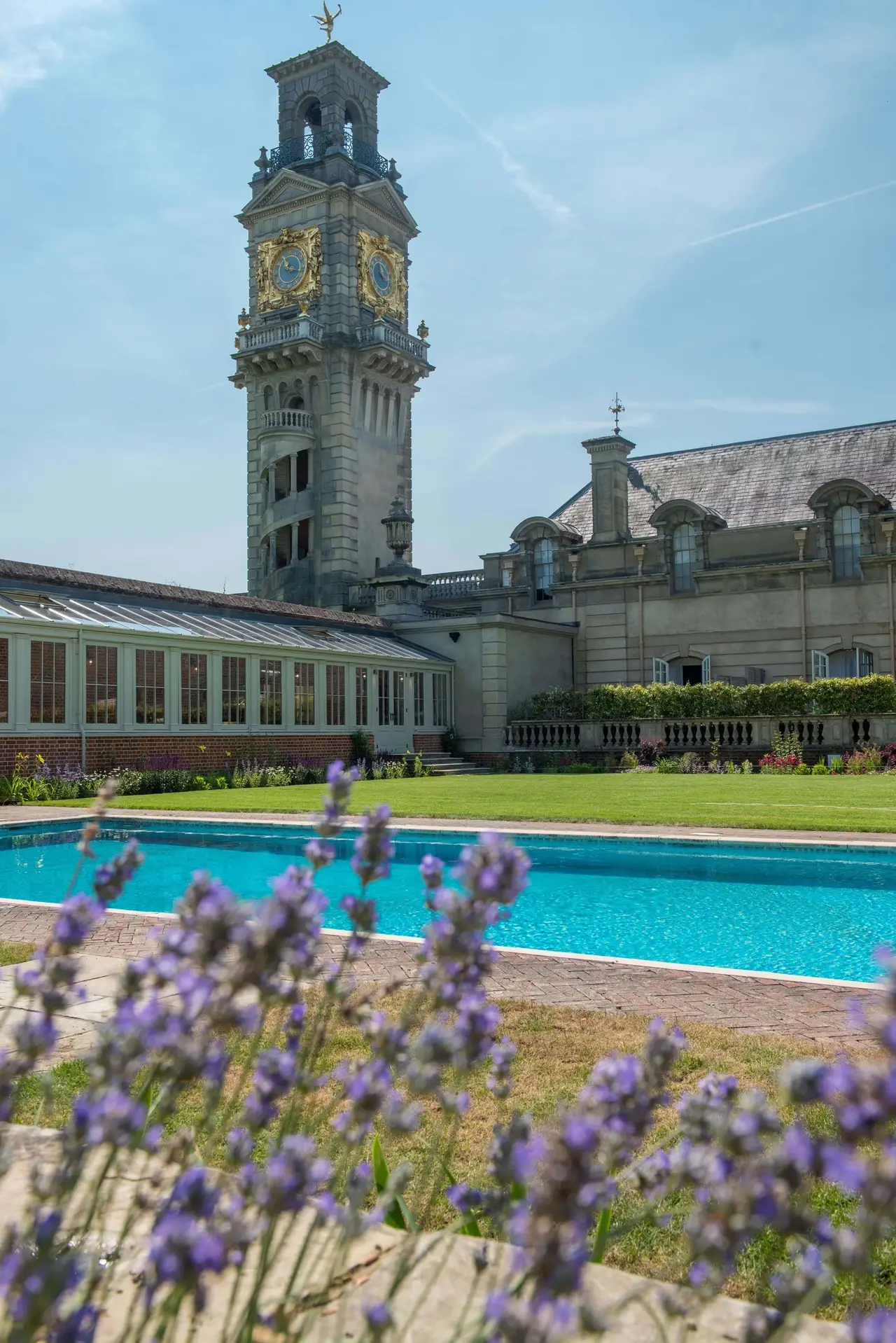 The outdoor pool among lavender, with the clock tower behind