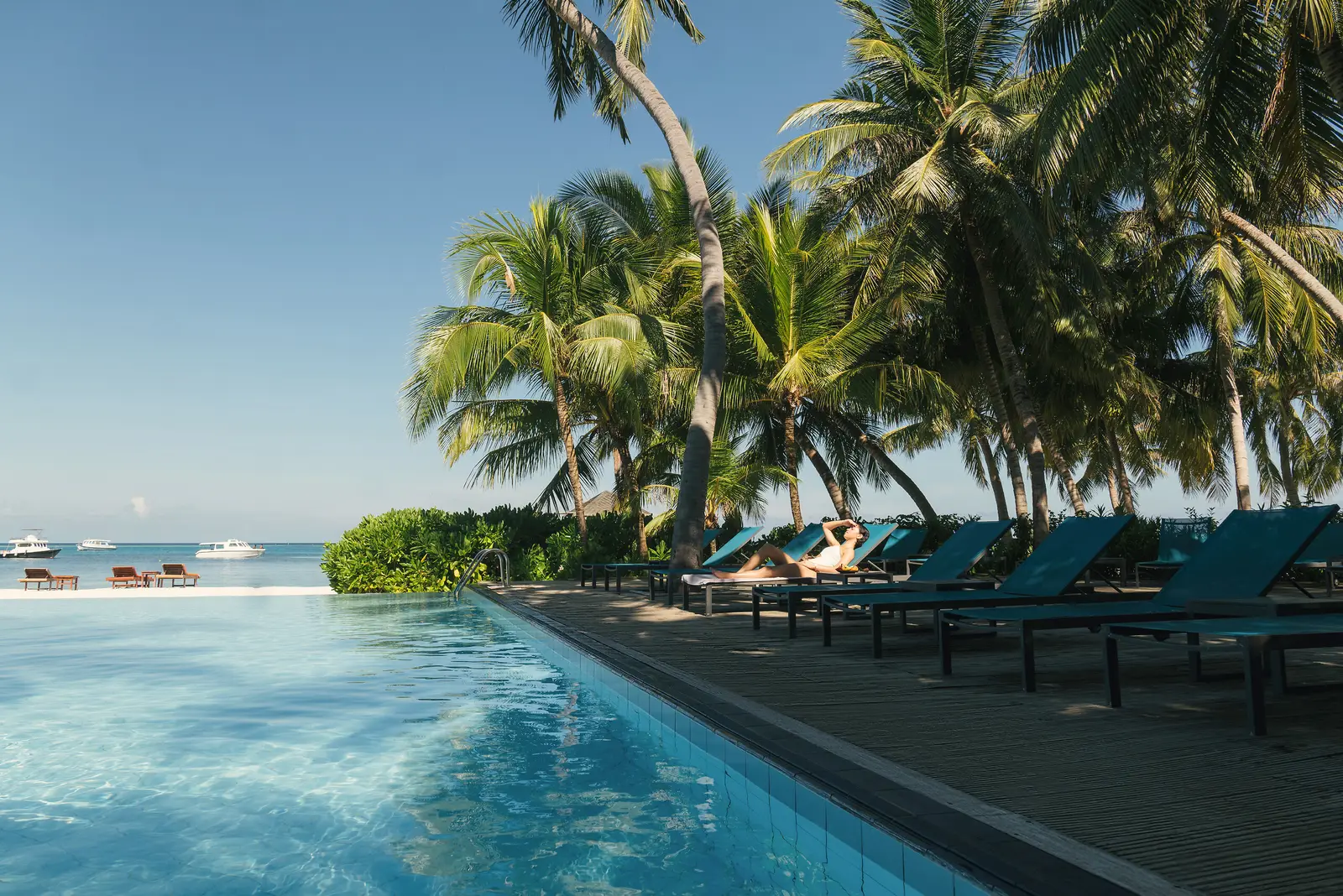 The infinity pool on the edge of the beach, with loungers among the palms and the sea beyond.