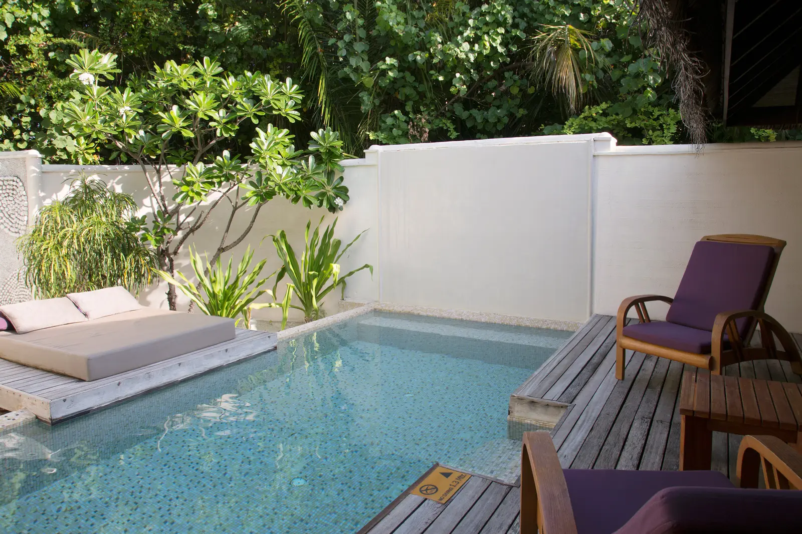 An Island Villa’s private pool in its planted courtyard, with the double daybed and purple armchairs.