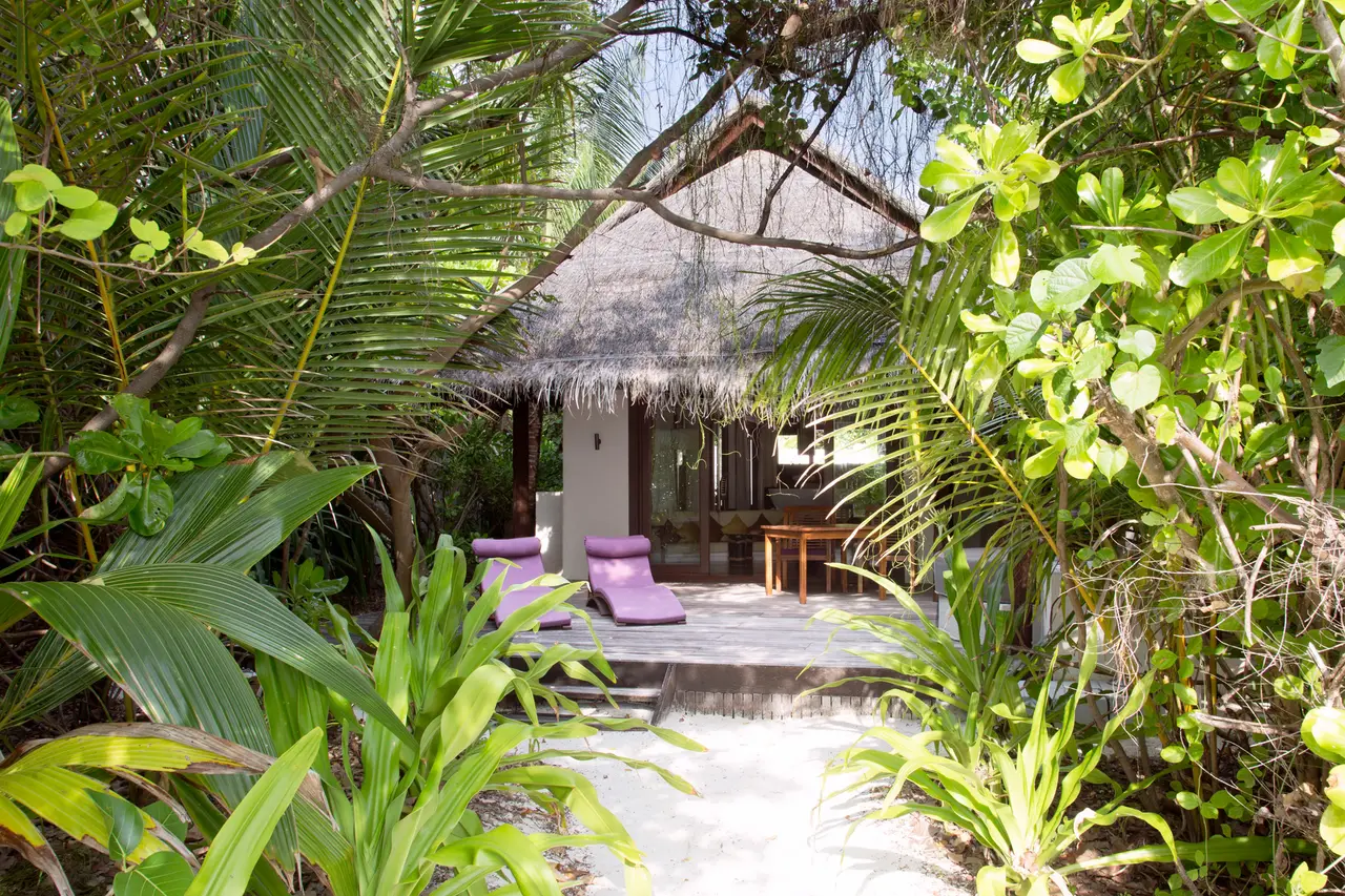 An Island Villa with Pool among the palms: the thatched villa, purple loungers and the sandy path through the garden.