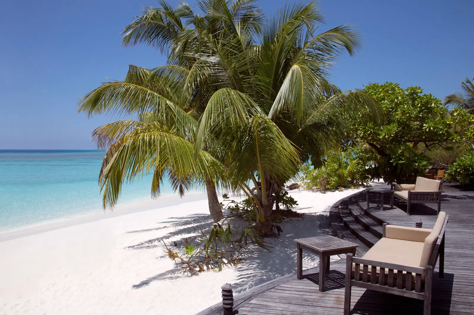 The Conch Bar’s timber deck among the palms, with sofas and the beach running into the turquoise sea.