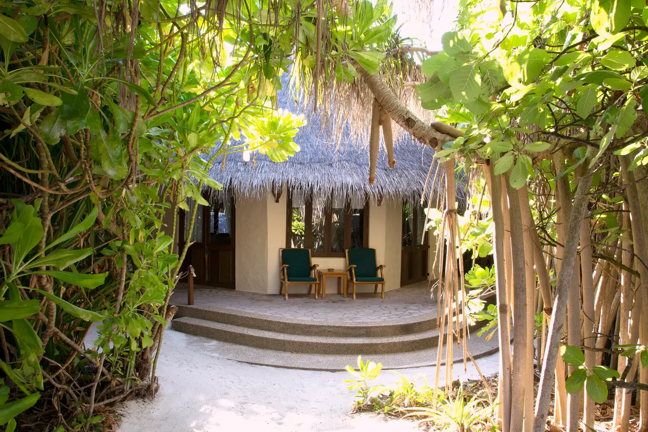 A thatched Beach Villa at the end of a sandy path, among branches and roots, 2 chairs on its veranda.