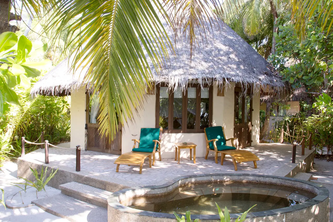 A thatched Deluxe Villa, its terrace with loungers and the small stone pool in front, among the palms.