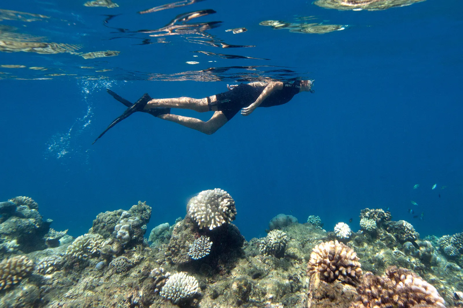 A swimmer with mask and fins glides over the corals, in blue water.