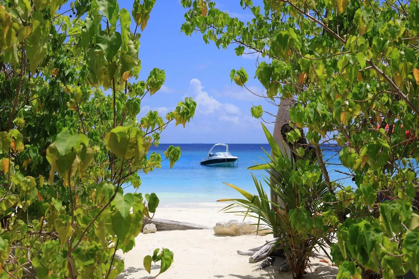 The beach and a boat in the lagoon, seen through the leaves of the island’s shrubs.