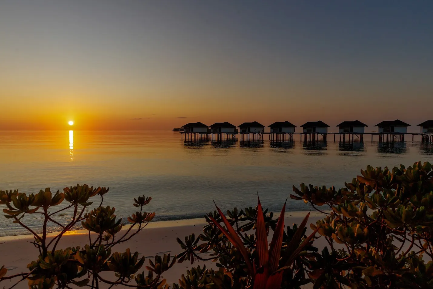 The sun setting over the sea beside the row of water villas, with the beach shrubs in the foreground.