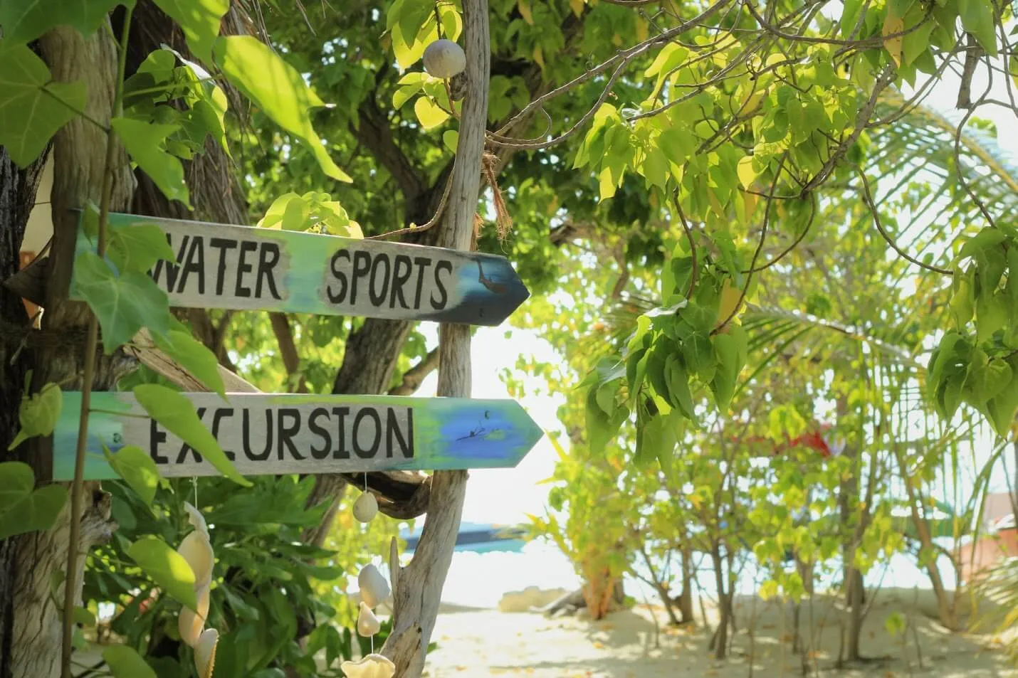 2 wooden signs, for water sports and excursions, among the green of a path to the beach.