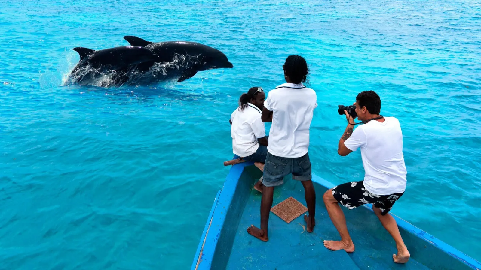 3 people at the bow of a boat photograph leaping dolphins