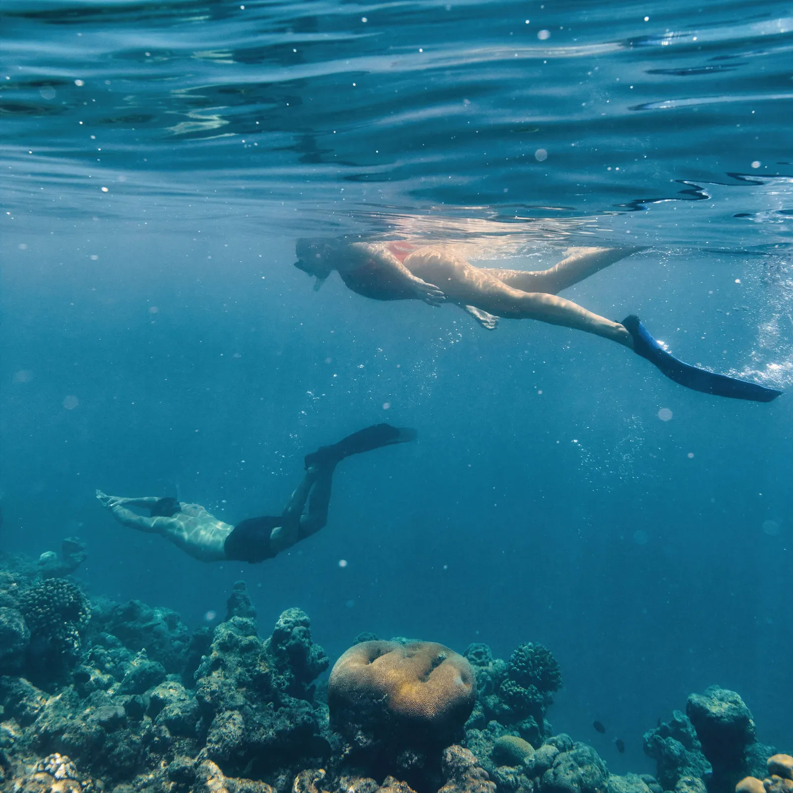 2 freedivers swimming over the reef’s corals in blue water