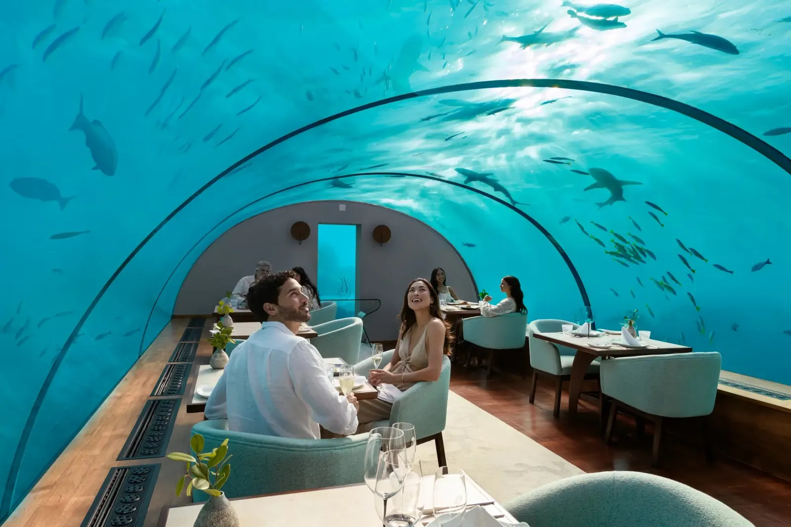 Guests dining at Ithaa under the glass vault, fish all around