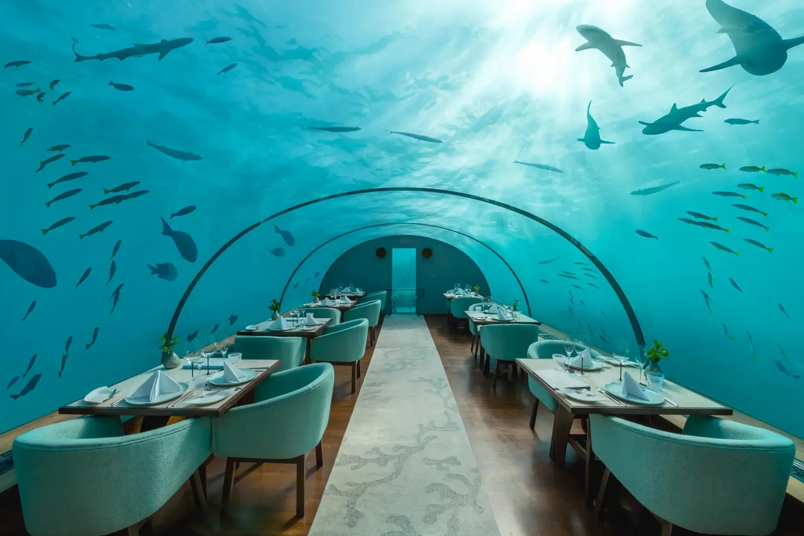 Ithaa’s empty dining room, tables under the glass tunnel and the fish