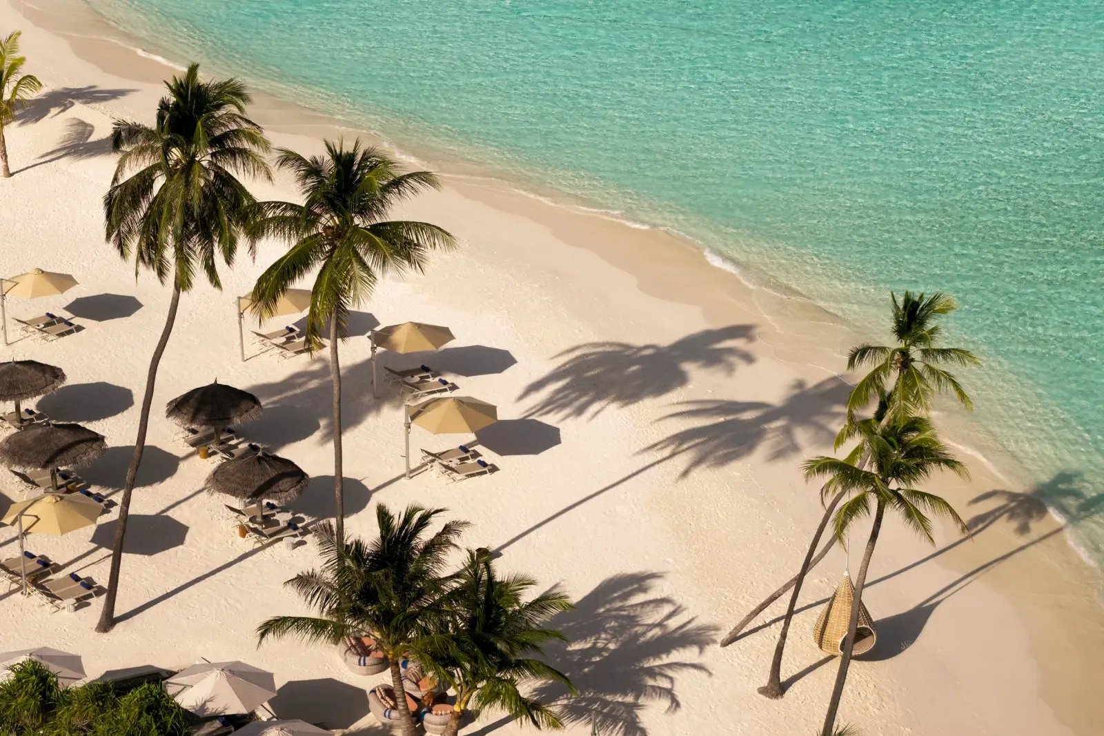 The beach with palms, loungers and parasols, seen from above.
