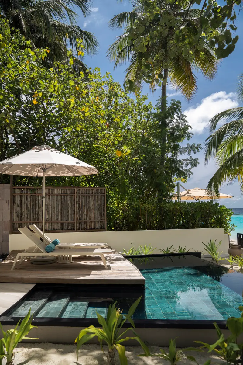 The Beach Villa’s private pool beside the terrace and palms.