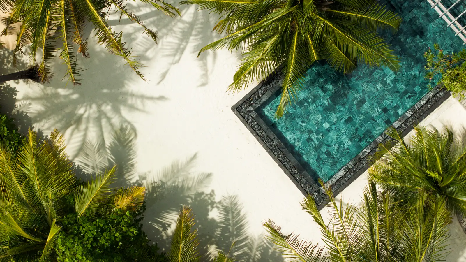 An overhead view of the Presidential Villa’s pool, palms and sand.