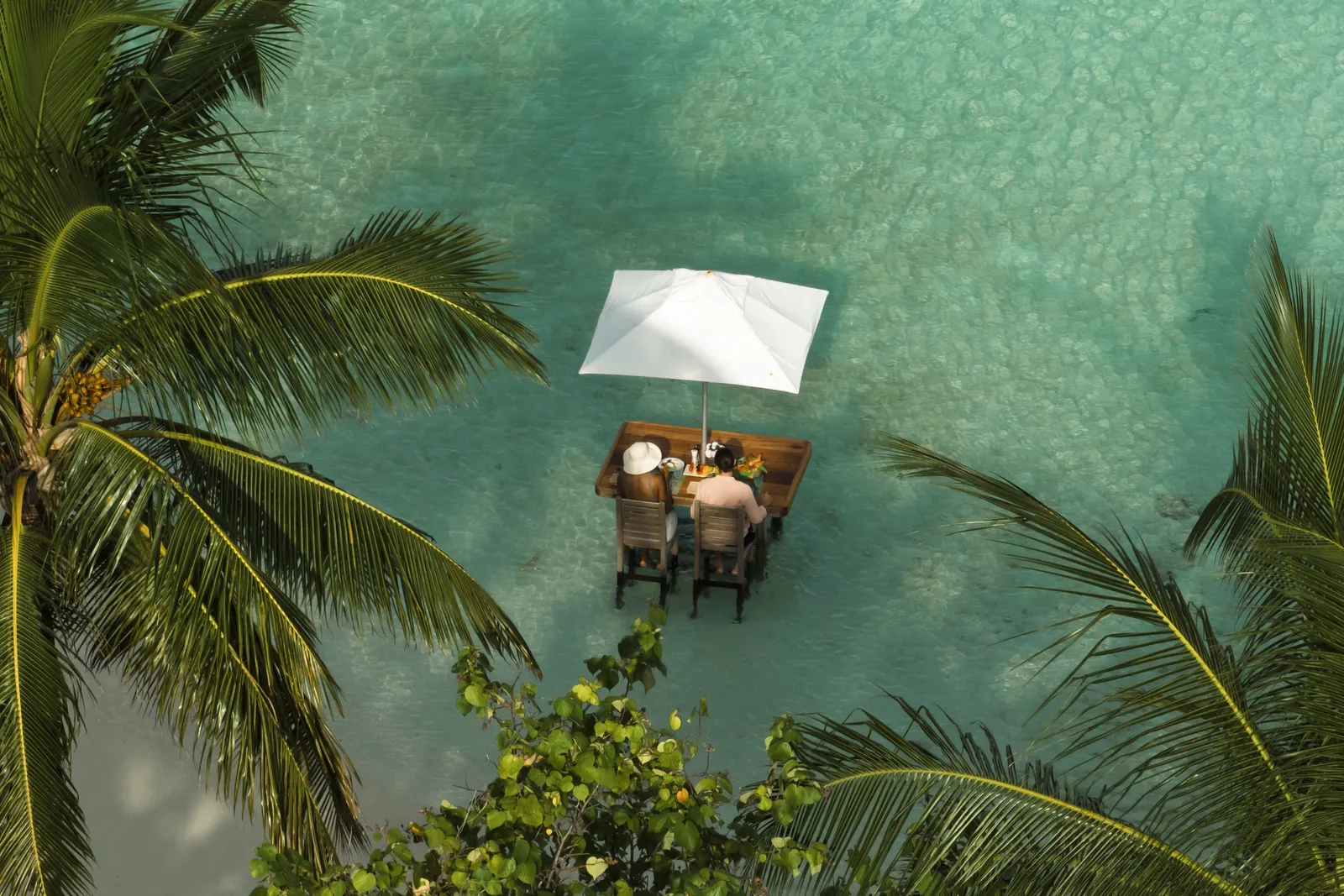 2 people at a table in the shallow lagoon under a white parasol, seen through the palms