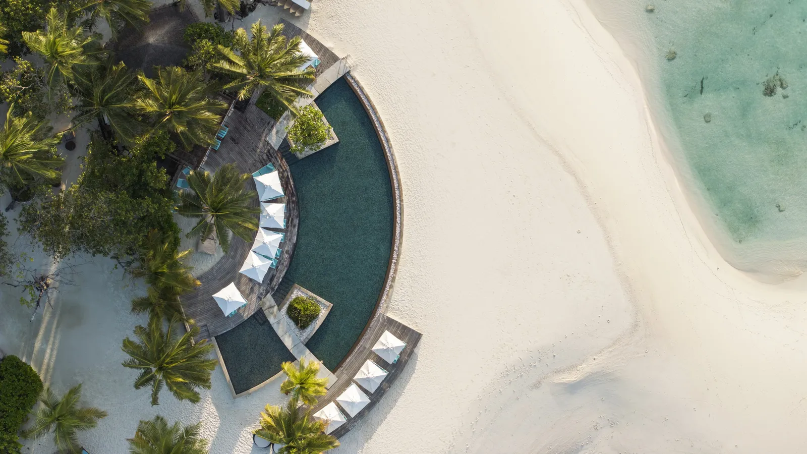 The curved pool from above, white loungers among the palms and the beach