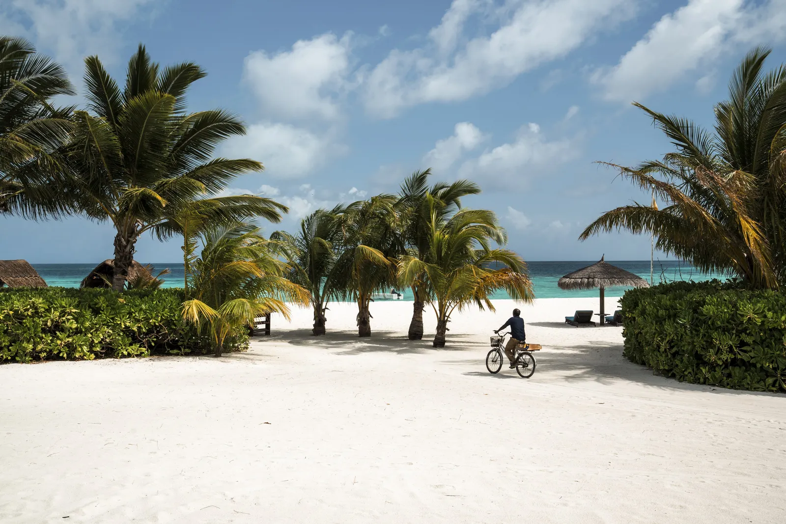 A cyclist on the sandy path among the palms, the sea beyond