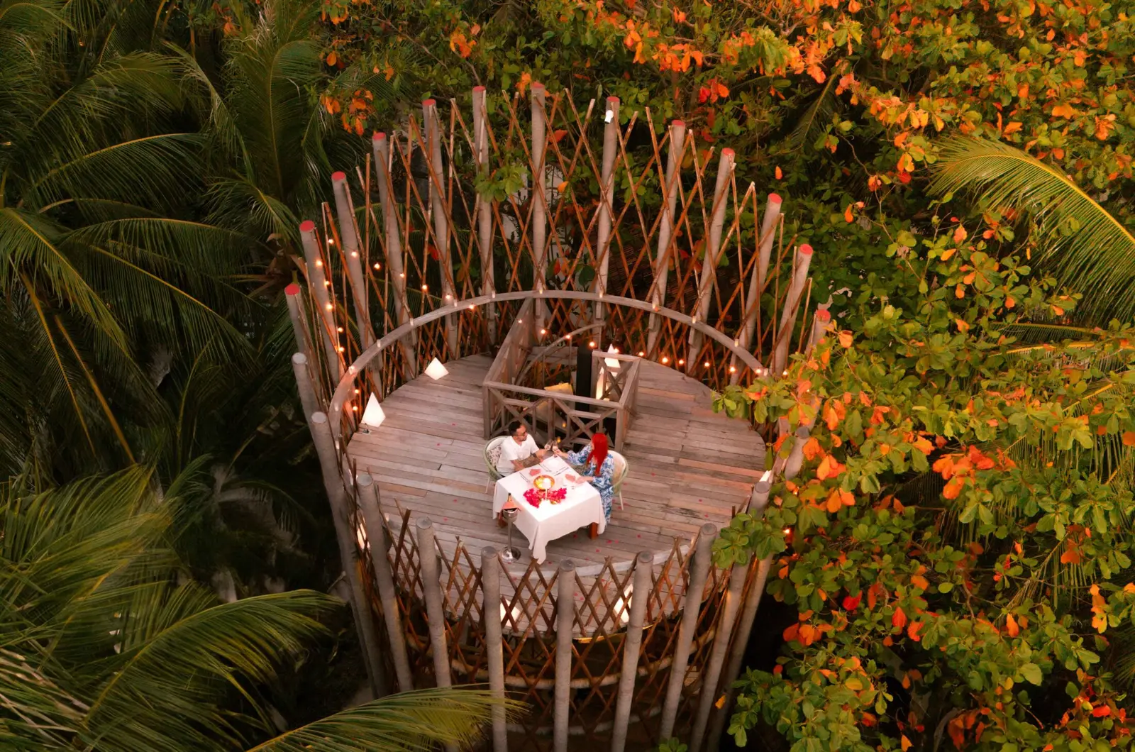 From above, the timber tower among the trees with a table laid for 2 on its platform.